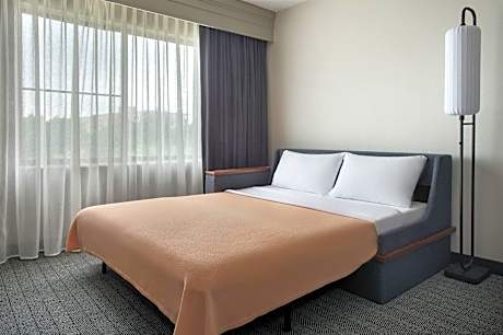 Room, 1 King Bed with Sofa bed (1 King Bed and 1 Double Sofa Bed)
