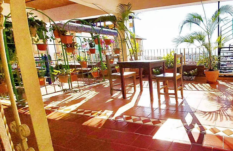 Paloma del Mar