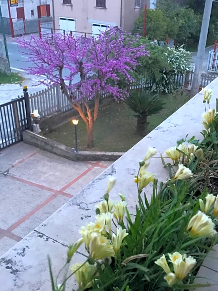 B&B Adema – Agropoli, UT