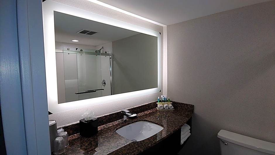 Holiday Inn Express Schaumburg-Rolling Meadows By IHG