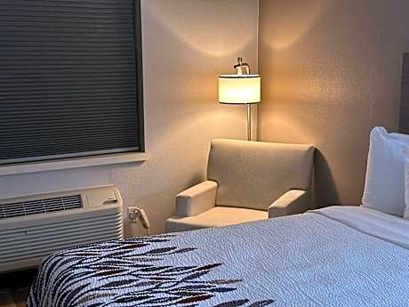 Superior Queen Room Disability Access Roll-In Shower Non-Smoking