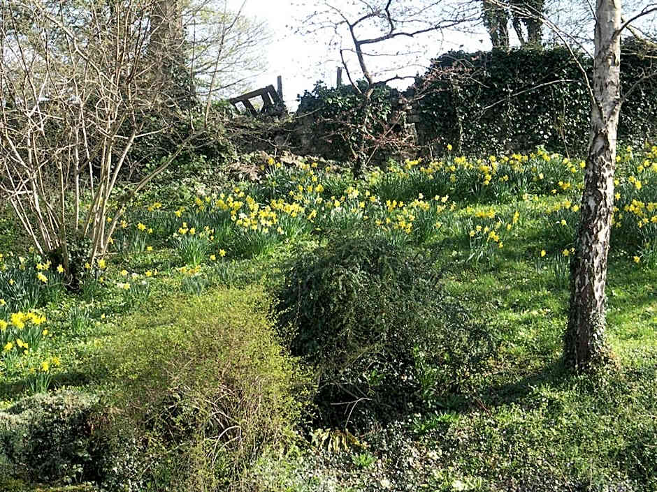 Stay at Penny's Mill