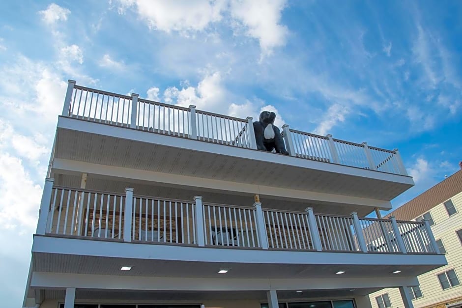 Safari Hotel Boardwalk