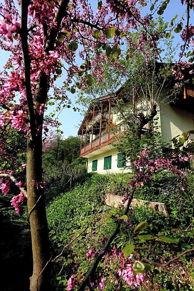 Al Trovante - Gardaslowemotion