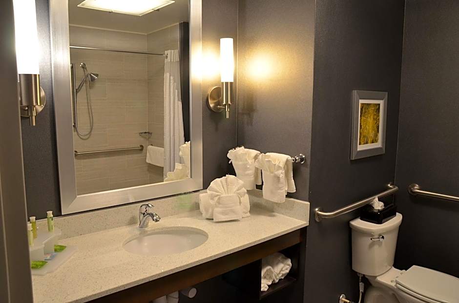 Holiday Inn Express & Suites Albany By IHG