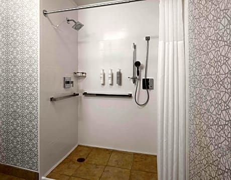 King Suite with Roll-In Shower - Mobility and Hearing Access/Non-Smoking