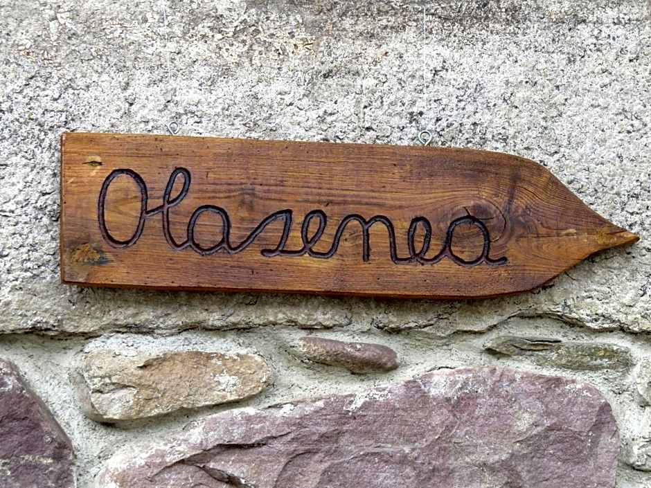 Albergue Olasenea Aterpea