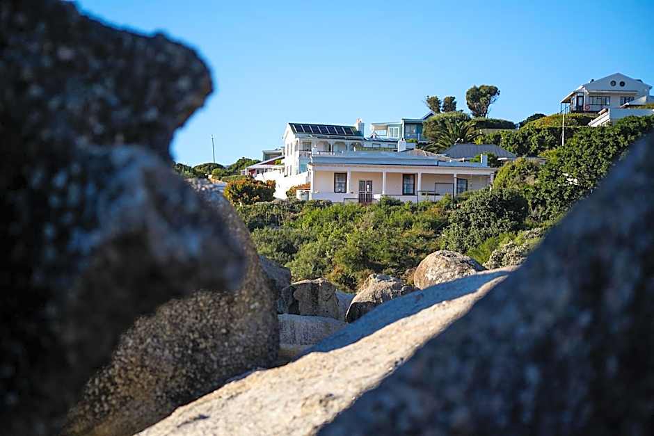 Bosky Dell on Boulders Beach