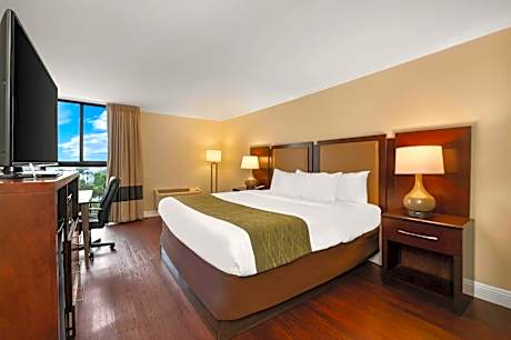 Standard King Room with City View - Non-Smoking