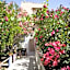 L'Oasi Villaggio Albergo