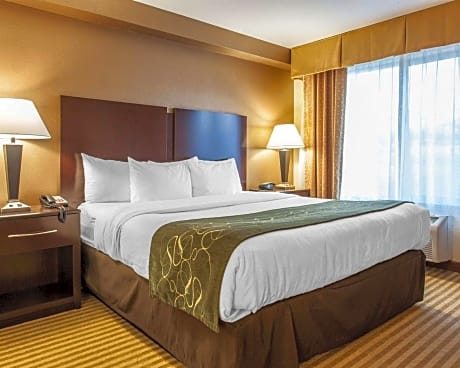 1 King Bed, Suite, Nonsmoking, Upgrade