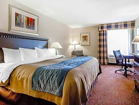 1 King Bed, Suite, Nonsmoking