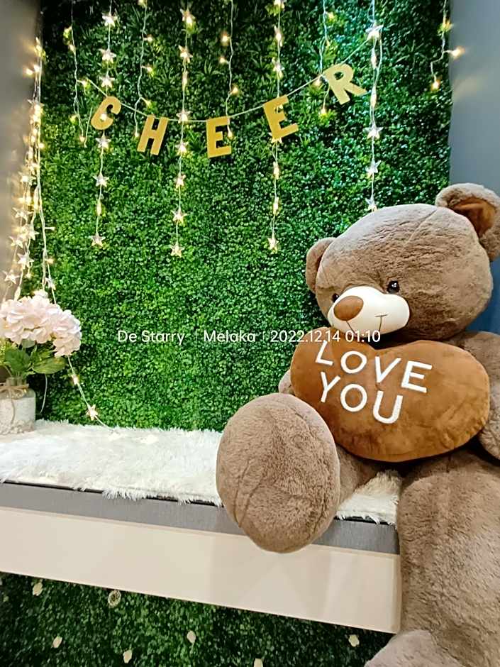 Melaka Homestay with pool 4BR Semi-D,BBQ,KTV,Billiard 15pax DeStarryVilla