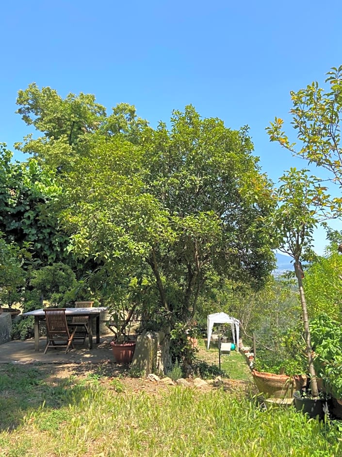 B&B La Rocca