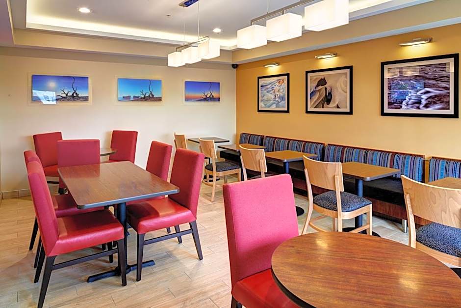 TownePlace Suites by Marriott Detroit Troy