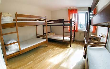 Bed in 6-Bed Mixed Dormitory Room