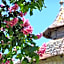 Domaine de L'Isle Basse