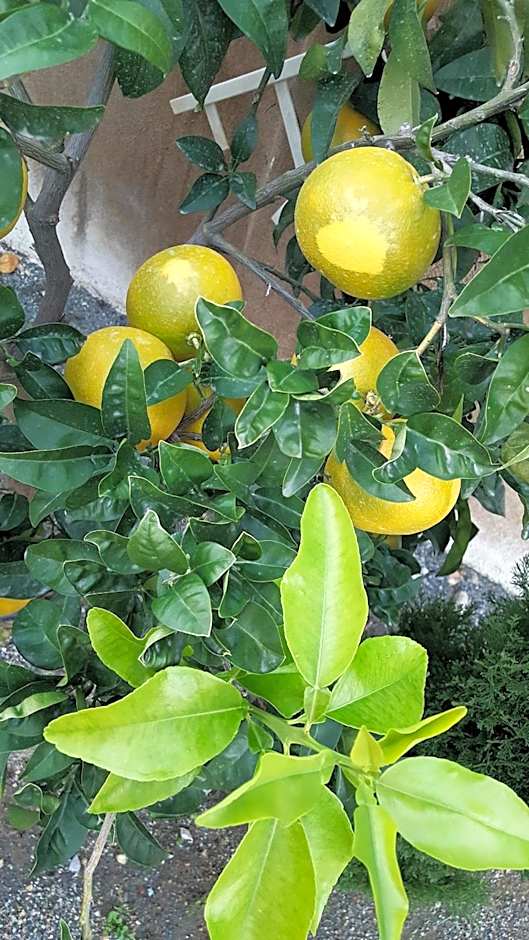 Hôtel le Chardon Bleu