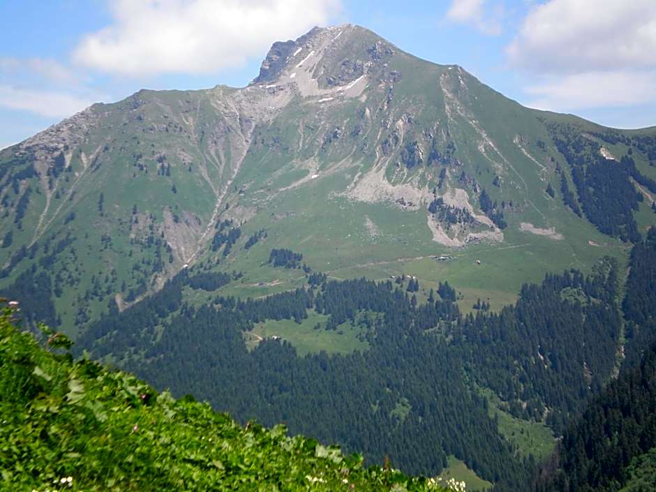 CHAMBRE d'HÔTE LA PETITE BERGERIE