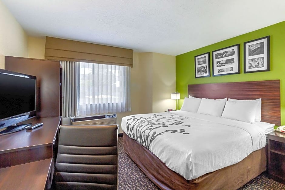 Photo 1 of 5 of Efficiency 1 King Bed, Accessible