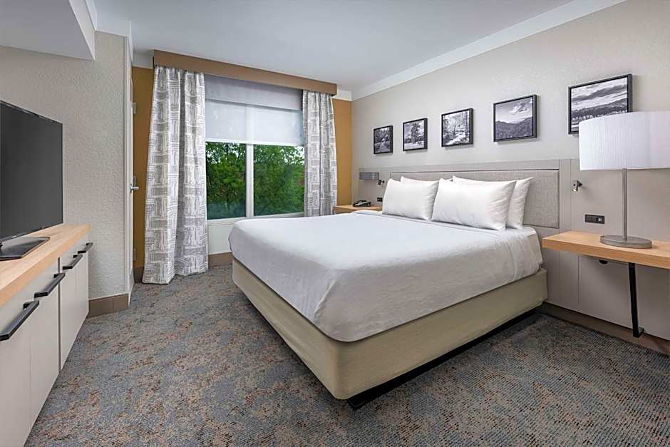 Hilton Garden Inn Chattanooga Downtown