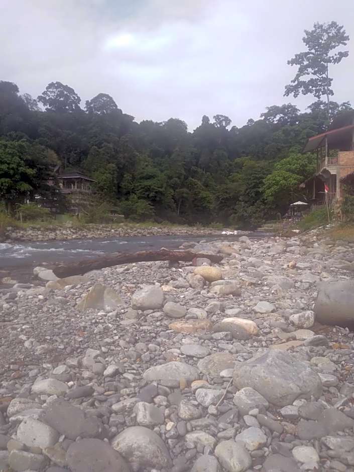 Umiyuki jungle tour only treking with us