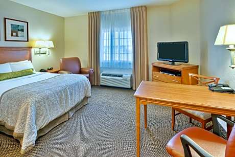 Queen Studio Suite