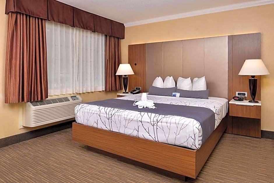 Best Western Hollywood Plaza Inn-Hollywood Walk of Fame Hotel-LA