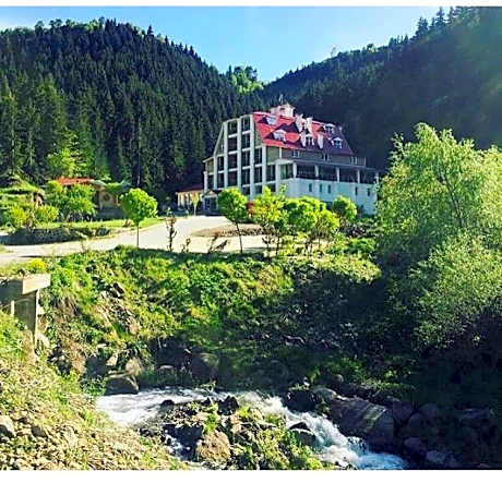 Hotel Green Valley Savsat