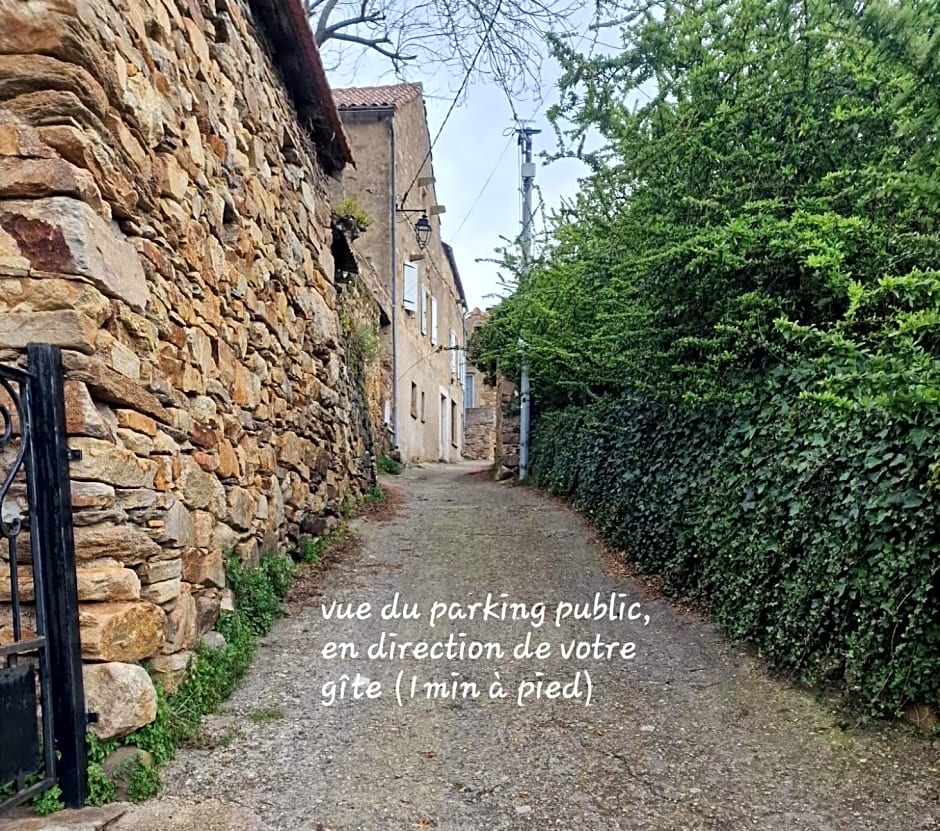 Le camélia de la mazarié