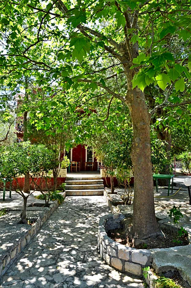 Belvedere Zakynthos Studios