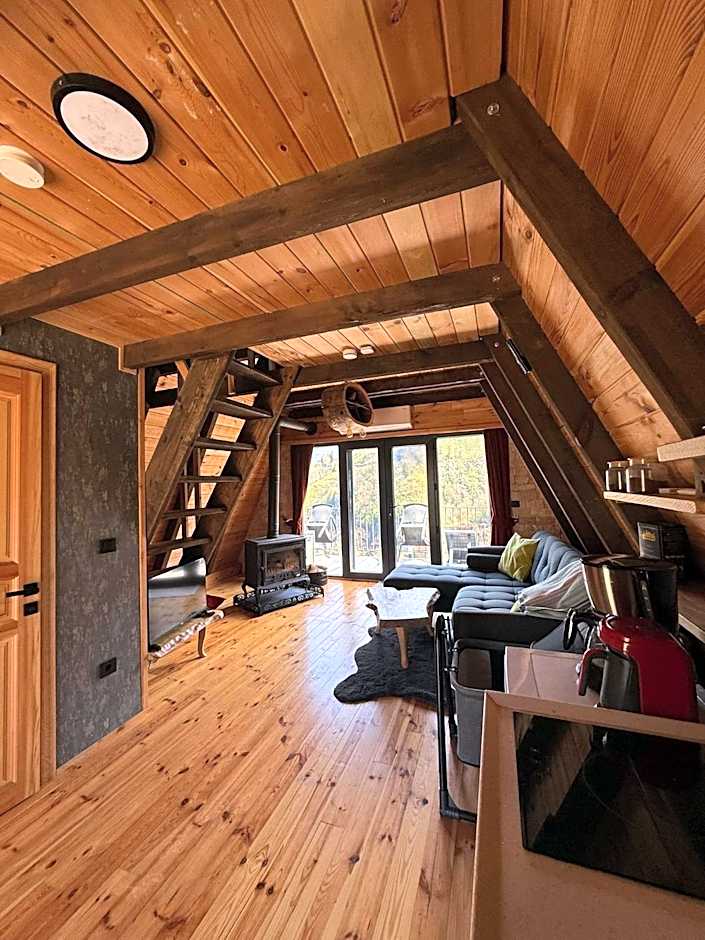 Danzi camping tiny house