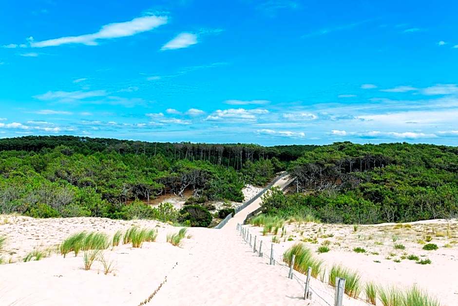 Single Fin Hotel & Lodge