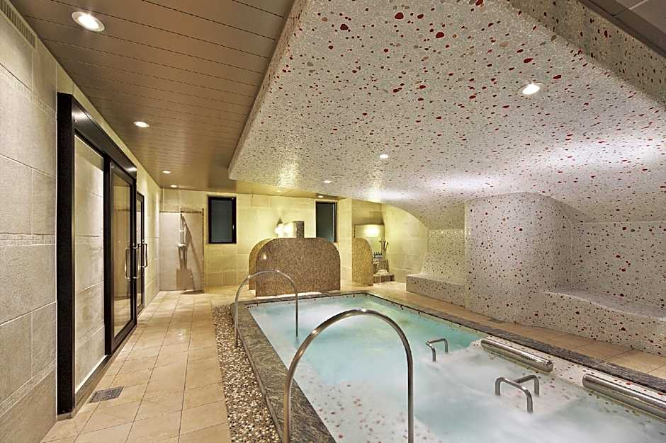 Hotel Coco Grand Takasaki