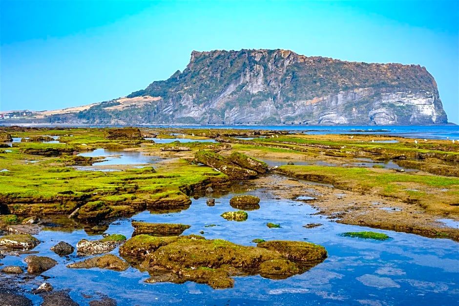 Tulip Jeju Seongsan Hotel, Formerly - Golden Tulip Jeju Seongsan Hotel