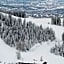 The Ritz-Carlton Club Aspen Highlands
