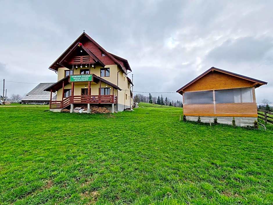 Cabana Poiana Dealul Frumos