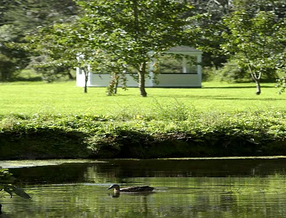 Rose in Vale Country House Hotel