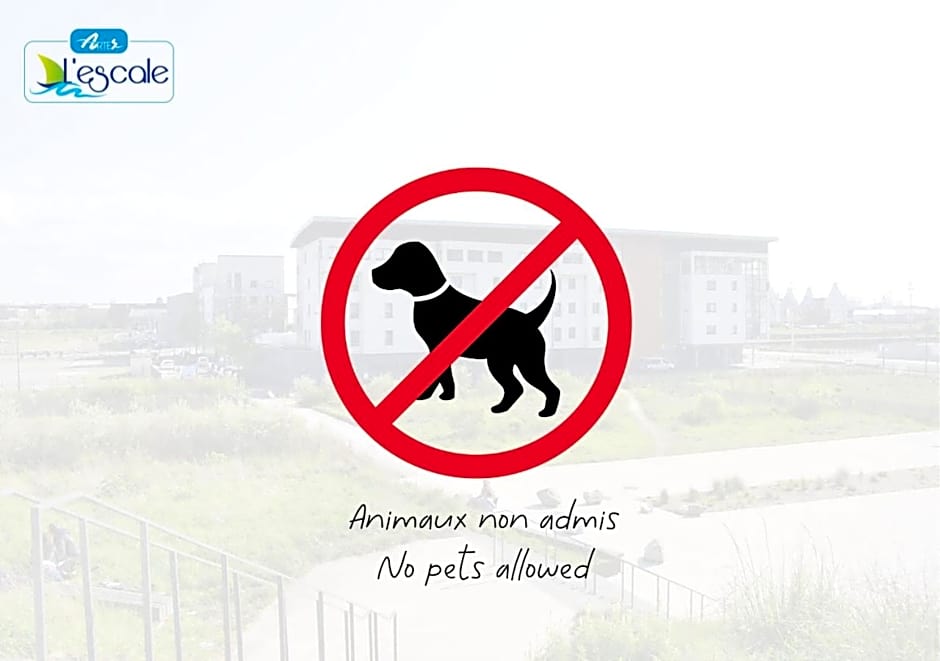 Auberge de jeunesse L'Escale