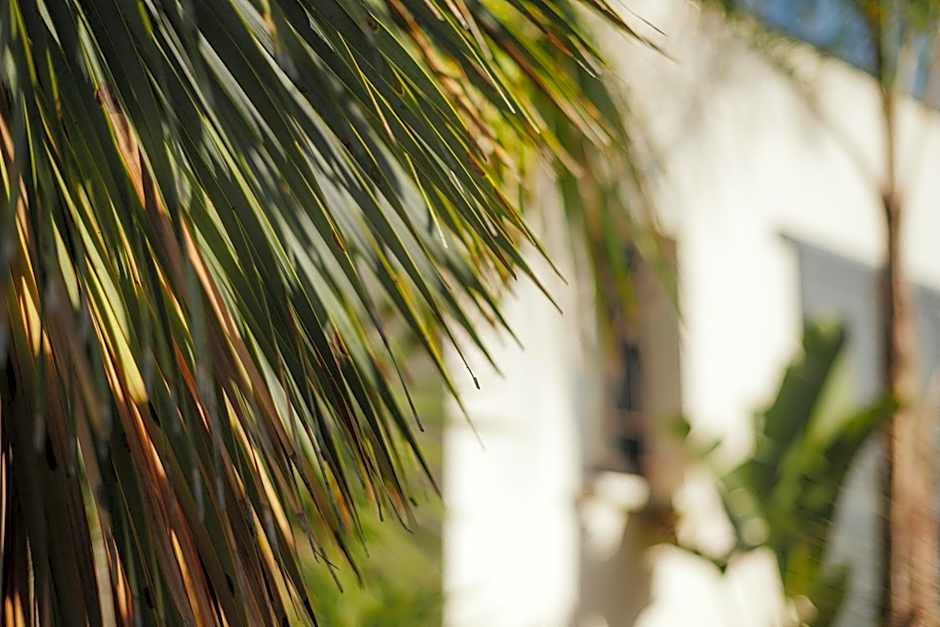 L'Oasis Vendargues