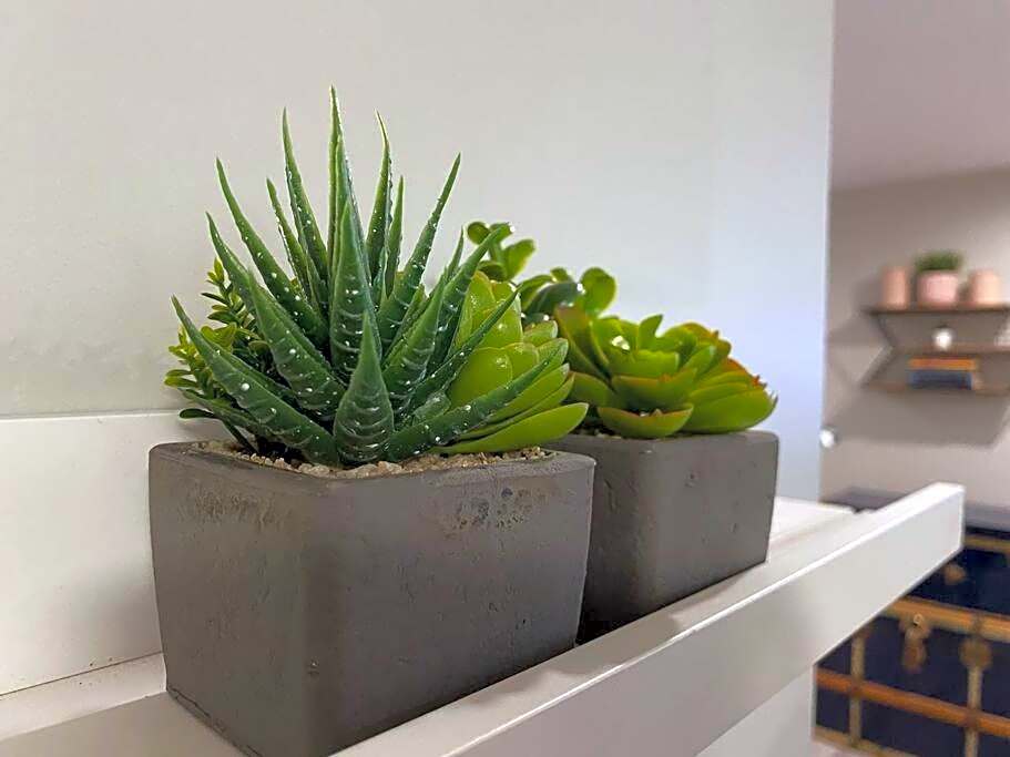 Hidden Getaway, BSMT with Back Yard