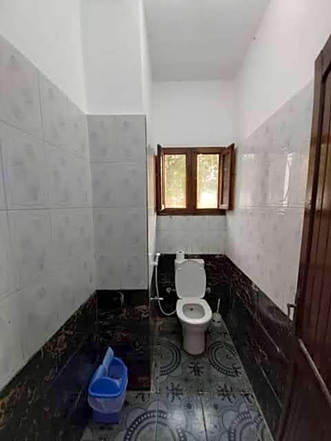 Oasis Fighting Kangaroo