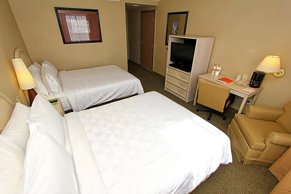 Holiday Inn Leon-Convention Center By IHG