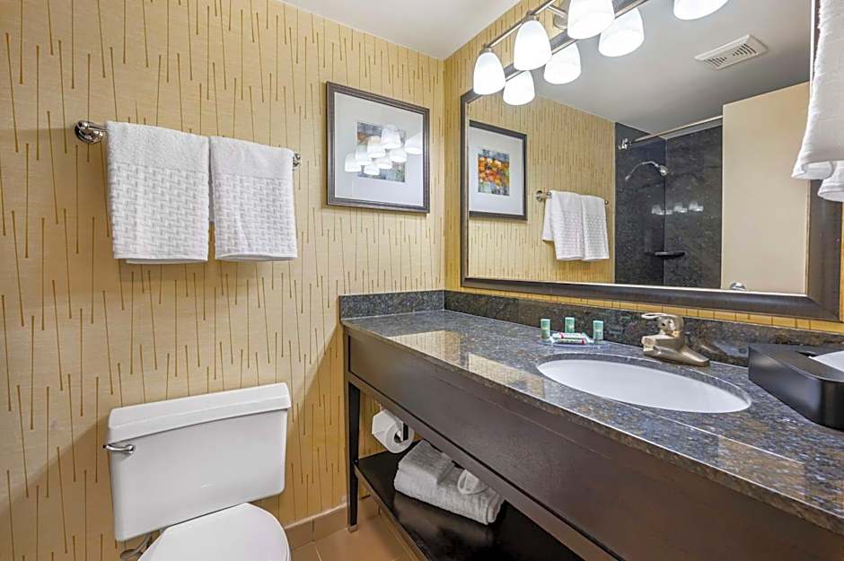 Best Western Chicago - Downers Grove