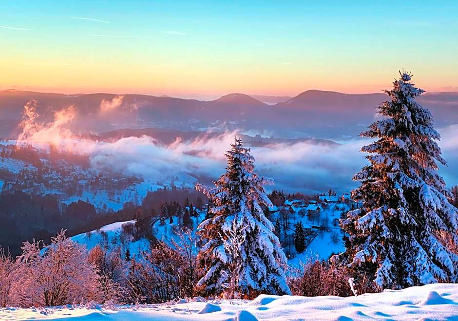 Hotel Restaurant Mont Champ du Feu