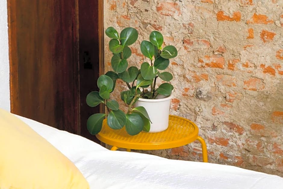 Casa Canario Hostel