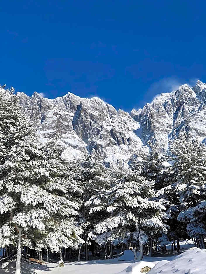 OISHE Boutique Hotel