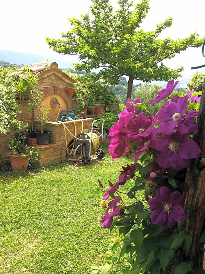B&B Antegiano