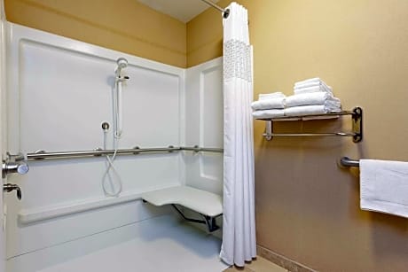 1 King Accessible Roll In Shower Studio Non-Smoking