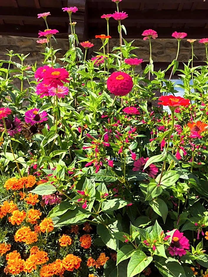 Hotel Finca Malvasia - Adults only